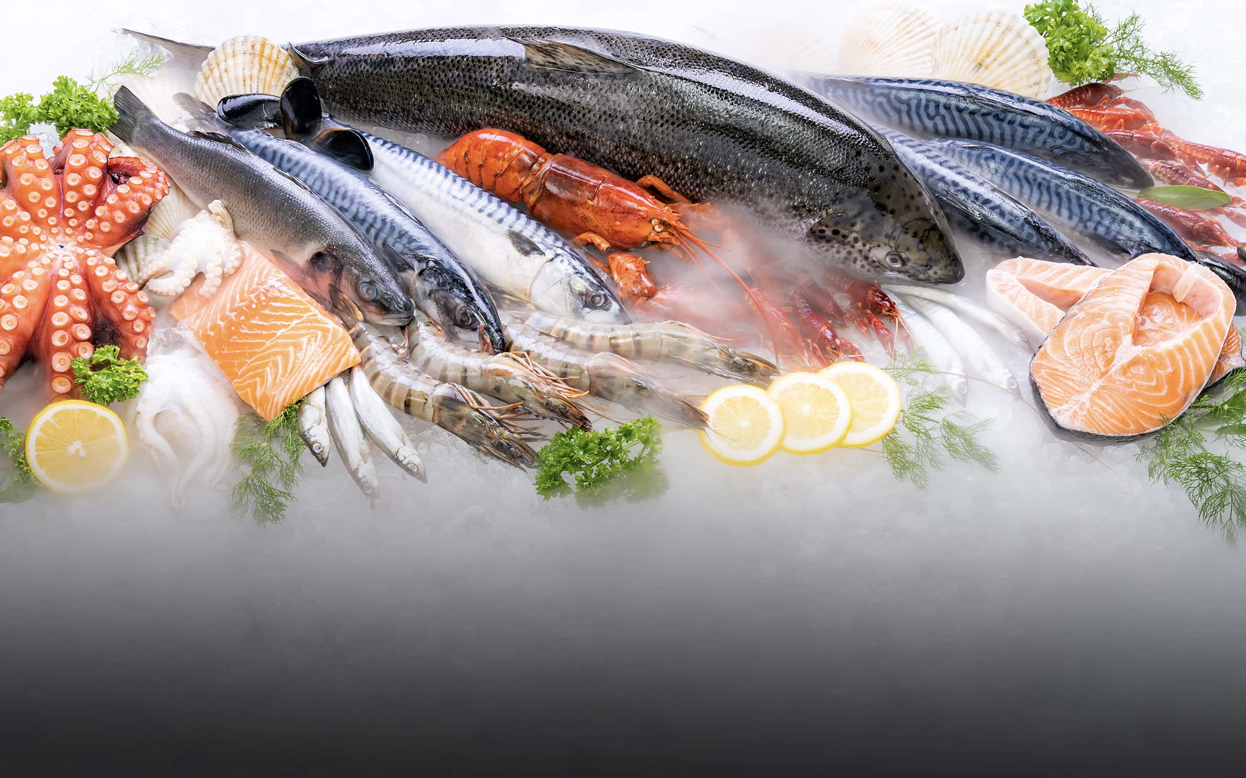 Qualifood - Prodotti ittici per il settore alberghiero e ristorazione