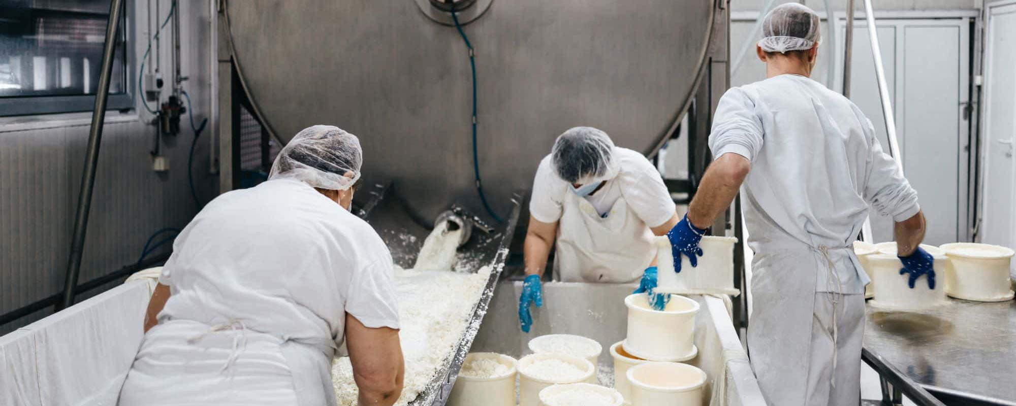 Qualifood - Formaggi, latticini e prodotti certificati