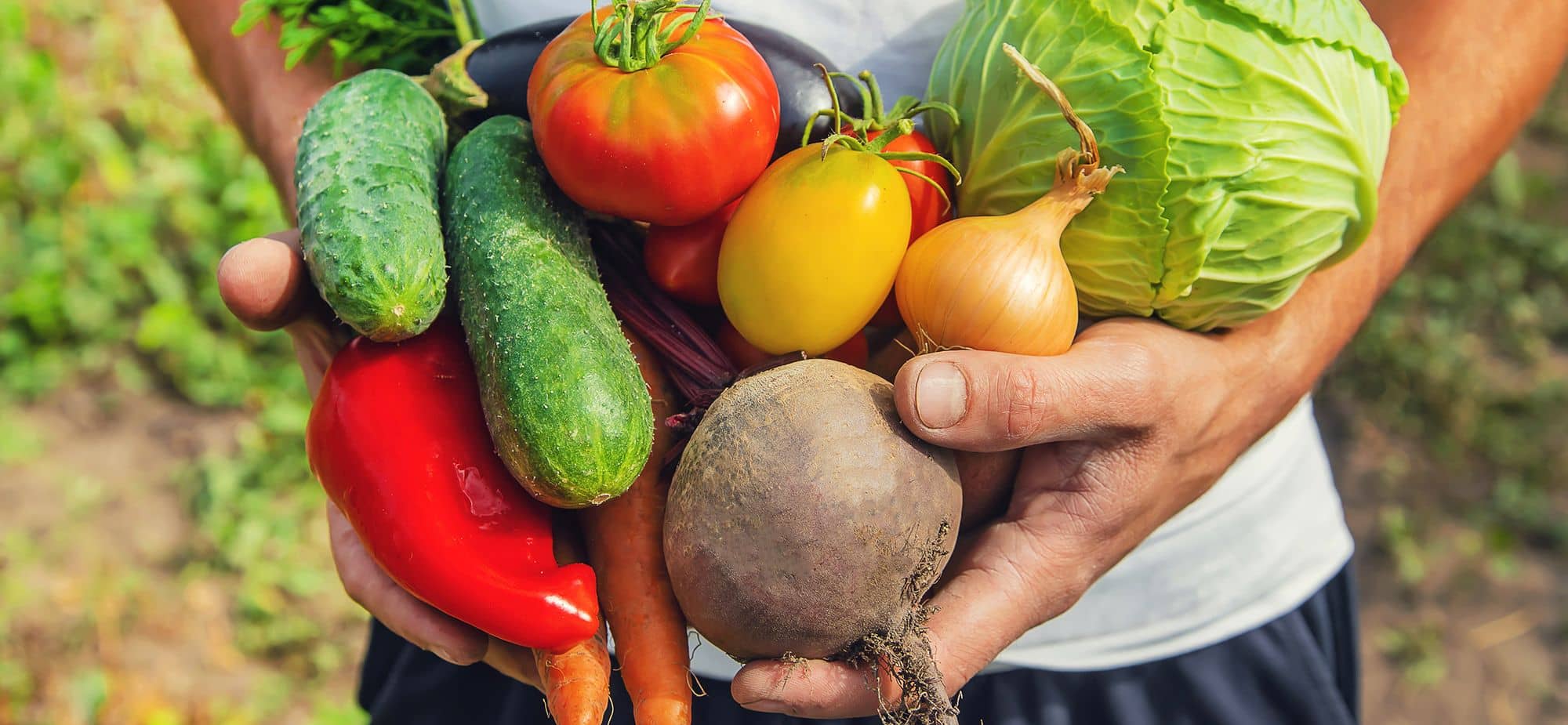 Qualifood - Frutta e verdura